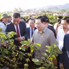 Chủ tịch Quốc hội Vương Đình Huệ thăm vùng trồng càphê tại bản Hoàng Văn Thụ, xã Hua La, thành phố Sơn La. (Ảnh: Doãn Tấn/TTXVN)