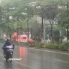 Thời tiết ngày 2/5: Nhiều khu vực mưa rào và dông, có nơi mưa trên 60mm