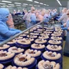 Chế biến tôm xuất khẩu. (Ảnh: Vũ Sinh/TTXVN)