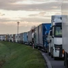 Xe tải xếp hàng trên đường cao tốc khi các chủ công ty vận tải Ba Lan chặn lối vào cửa khẩu biên giới Ba Lan-Ukraine ở Dorohusk, Ba Lan vào ngày 6/11. (Ảnh: AFP)