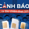 Ảnh minh họa. (Ảnh: Minh Sơn/Vietnam+)