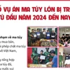Một số vụ án ma túy lớn bị triệt phá từ đầu năm 2024 đến nay