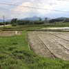 Khu vực được UBND xã Tịnh Đông, huyện Sơn Tịnh, tỉnh Quảng Ngãi thông báo xây dựng Khu dân cư Đồng Cây Quen. (Ảnh: Đinh Hương/TTXVN)