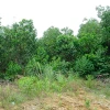 Ảnh minh họa. (Ảnh: Mạnh Khánh/TTXVN)