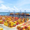 Hãng vận tải biển MSC lấy hàng hóa container tại một bến cảng Việt Nam. (Ảnh: PV/Vietnam+)