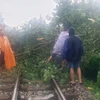 Cán bộ, công nhân viên ngành đường sắt khắc phục vị trí cây đổ vào đường ray để thông tàu chạy nhanh nhất. (Ảnh: PV/Vietnam+)