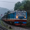 Đoàn tàu của Tổng công ty Đường sắt Việt Nam trên hành trình chặng Bắc-Nam. (Ảnh: Minh Sơn/Vietnam+)