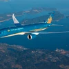 Máy bay của hãng hàng không Vietnam Airlines. (Ảnh: CTV/Vietnam+)