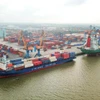 Bốc xếp hàng hóa container tại một cảng biển Việt Nam. (Ảnh: CTV/Vietnam+)