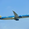 Máy bay của Hãng hàng không Vietnam Airlines. (Ảnh: PV/Vietnam+)