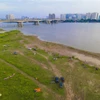 Bãi bồi ven sông Hồng mở ra nhiều cơ hội để xây dựng các không gian sáng tạo. (Ảnh: TTXVN phát)
