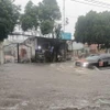 Trận mưa làm ngập khu vực hàng dừa, đường Cách Mạng Tháng Tám, thành phố Thủ Dầu Một, tỉnh Bình Dương hôm 9/11. (Ảnh: Dương Chí Tưởng/TTXVN)