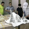 Tang vật thu giữ trong một vụ vận chuyển sừng tê giác về Việt Nam. (Ảnh: TTXVN phát)