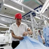 Sản xuất ngành dệt may xuất khẩu tại một doanh nghiệp tư nhân. (Ảnh: Đỗ Phương Anh/TTXVN)