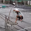 Nhờ nuôi tôm công nghệ cao, một số nông dân đã trở thành tỷ phú. (Ảnh: CTV/Vietnam+)