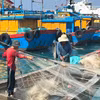 Việt Nam đã có nhiều chuyển biên tích cực trong việc chuyển từ nghề cá nhân dân sang nghề cá có trách nhiệm đã có sự chuyển biến tích cực.(Ảnh: PV/Vietnam+)