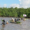 Trồng rừng ngập mặn. (Ảnh: Trung Hiếu/TTXVN)