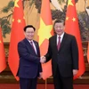 Chủ tịch Quốc hội Vương Đình Huệ hội kiến Tổng Bí thư, Chủ tịch nước Trung Quốc Tập Cận Bình. (Ảnh: Nhan Sáng/TTXVN)