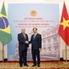 Bộ trưởng Ngoại giao Bùi Thanh Sơn và Bộ trưởng Ngoại giao Brazil Mauro Vieira chụp ảnh chung. (Ảnh: Doãn Tấn/TTXVN)