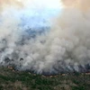 Khói lửa bốc lên từ đám cháy rừng ở Labrea, bang Amazonas, Brazil, ngày 20/8/2024. (Ảnh: Getty Images/TTXVN)