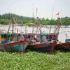 Tàu thuyền chủ động neo đậu tránh trú bão tại Cảng cá Tân Sơn (thị trấn Diêm Điền, huyện Thái Thụy, tỉnh Thái Bình). (Ảnh: Vũ Quang/TTXVN)