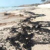 Dầu vón cục trôi dạt vào bãi biển Mũi Né, thành phố Phan Thiết, tỉnh Bình Thuận. (Ảnh: Nguyễn Thanh/TTXVN)