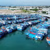 Đội tàu cá khai thác xa bờ cập cảng cá Mỹ Tân ở xã Thanh Hải, Ninh Hải, Ninh Thuận. (Ảnh: Nguyễn Thành/TTXVN)