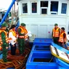 Lực lượng làm nhiệm vụ tuần tra phát hiện tàu TG 91987 TS đang vận chuyển trái phép khoảng 36.000 lít dầu DO trên biển. (Ảnh TTXVN phát)