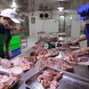 Chuẩn bị nguyên liệu thịt lợn để chế biến tại cơ sở sản xuất của Hợp tác xã Hoàng Long ở thôn Tri Lễ, xã Tân Ước, huyện Thanh Oai, Hà Nội. (Ảnh: Vũ Sinh/TTXVN)