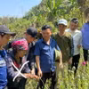 Đối tượng Lỳ Khừ Nu (thứ 2 bên trái). (Ảnh: TTXVN phát)