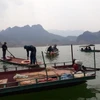 Các lực lượng của huyện Sìn Hồ (Lai Châu) tích cực tìm kiếm các nạn nhân mất tích trong vụ lật thuyền tại vùng ngập Thủy điện Sơn La, thuộc địa phận xã Nậm Mạ. (Ảnh: TTXVN phát)