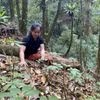 Nhiều hộ dân tại huyện Đăk Glei (Kon Tum) đã mạnh dạn vay vốn để đầu tư vào trồng dược liệu dưới tán rừng vươn lên thoát nghèo. (Ảnh: Khoa Chương/TTXVN)