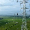 Thi công đường dây 500kV mạch 3. (Ảnh: Việt Hoàng/TTXVN)