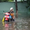 Nước ngập sâu trên các tuyến đường trong Khu Công nghiệp Giao Long, tỉnh Bến Tre. (Ảnh: Huỳnh Phúc Hậu/TTXVN)