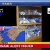 Thông tin ban đầu về trận động đất. (Nguồn: NHK)