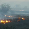 Cháy rừng ở bang Texas. (Nguồn: KFDA)