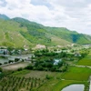 Một góc núi rừng xã Hòa Bắc, huyện Hòa Vang, thành phố Đà Nẵng. (Ảnh: Quốc Dũng/TTXVN)