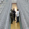 Nhà lãnh đạo Triều Tiên Kim Jong-un thăm Viện Vũ khí Hạt nhân và cơ sở sản xuất 'vật liệu hạt nhân cấp độ vũ khí.' (Nguồn: Rodong Sinmun)