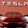 Các mẫu xe tại phòng trưng bày của Tesla ở Amsterdam, Hà Lan. (Ảnh: AFP/TTXVN)