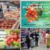Một số hoạt động xúc tiến vải tại Australia các mùa vụ gần đây do Cơ quan Thương vụ thực hiện như đấu giá, treo thưởng vé máy bay, dùng thử, quảng cáo trên nền tảng trực tuyến có lượng truy cập lớn. (Ảnh: TTXVN phát)