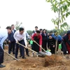 Chủ tịch nước Võ Văn Thưởng và các đại biểu tham gia trồng cây tại Lễ phát động Tết trồng cây 'Đời đời nhớ ơn Bác Hồ' Xuân Giáp Thìn 2024. (Ảnh: Thống Nhất/TTXVN)