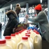Sữa được phân phối cho công nhân tại Brooklyn, New York, Mỹ. (Ảnh: AFP/TTXVN)