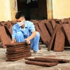 Học viên tại Cơ sở cai nghiện ma túy Bắc Ninh. (Ảnh: Thái Hùng/TTXVN)