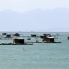 Kiểm soát chặt rác thải từ nghề nuôi trồng thủy sản gây ô nhiễm môi trường biển. (Ảnh: Công Thử/TTXVN)