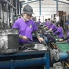 Công nhân sản xuất than gáo dừa tại Bình Phước. (Ảnh: K GỬIH/TTXVN)