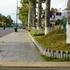 Công trình cải tạo vỉa hè, dải phân cách đường Lý Thường Kiệt (thành phố Cao Lãnh, tỉnh Đồng Tháp) do Công ty TNHH cây xanh Công Minh trúng thầu thực hiện. (Ảnh: Nhựt An/TTXVN)