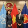 Đại sứ, Trưởng Phái đoàn thường trực Việt Nam tại Liên hợp quốc Đặng Hoàng Giang và bà Pauline Tamesis, Điều phối viên thường trú LHQ tại Việt Nam tại buổi làm việc. (Ảnh: TTXVN phát)