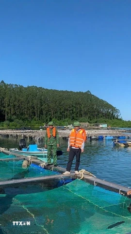 Chằng chống lồng bè và sơ tán người dân lên bờ tránh bão. (Ảnh: TTXVN phát)