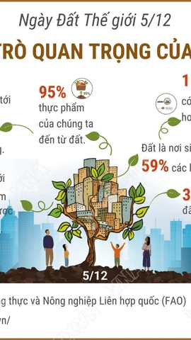 Ngày Đất Thế giới 5/12: Vai trò quan trọng của đất