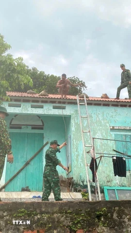 Chiến sỹ Bộ đội Biên phòng đồn Ngọc Vừng (Bộ đội Biên phòng Quảng Ninh) giúp người dân chằng chống nhà cửa trước bão. (Ảnh: Thanh Vân/TTXVN)